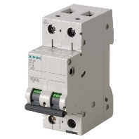 Miniature circuit breaker 2-p B25A 5SL6525-6