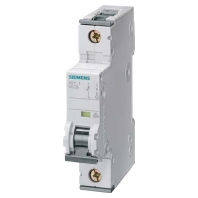 Miniature circuit breaker 1-p C2A 5SY7102-7