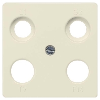 Central cover plate 5TG2595