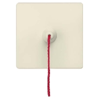 Cover plate for switch/push button 5TG6287