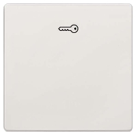 Cover plate for switch/push button white 5TG7148
