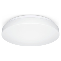 Ceiling-/wall luminaire RS PRO P1 069674