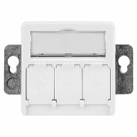 Twisted pair Data outlet white 100021419