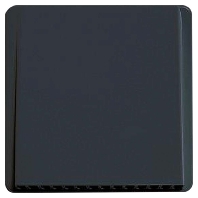 Auenblende VAZ-G 160 anth f.VAR 60/1 D(W) 10024173