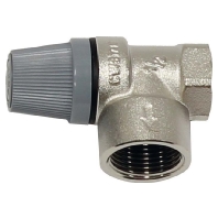 Safety valve 009318