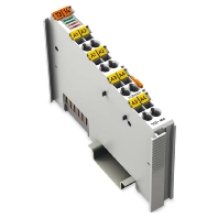 Fieldbus analogue module 2 In / 0 Out 750-464