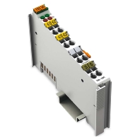 Analog Eingangsklemme 2-Kanal 0-20mA Diff. 750-480