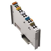 Fieldbus analogue module 0 In / 2 Out 750-560