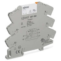 Switching relay AC 230V DC 230V 6A 857-368