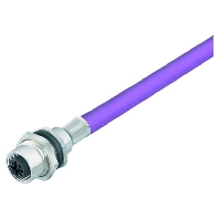 SAI Leitung SAIE-M12B-PB-0,5U HW