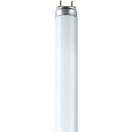 Osram Lumilux-Lampe L 15/865 