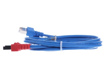 View on the right Homeway HCAHNG-B2103-A010 HW-Y-Kabel1 LAN/LAN 
