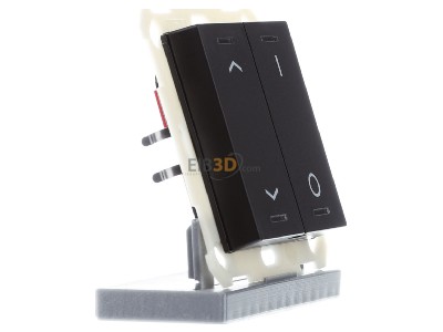 View on the left MDT BE-TAL550206.C1 KNX Push Button Lite 55 2-fold, RGBW, blinds and switch, Black matt 
