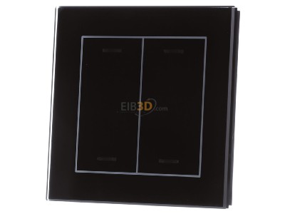 Front view MDT BE-GTL20S.01S KNX Glass Push Button II Lite 2-fold, RGBW, neutral, Black - 
