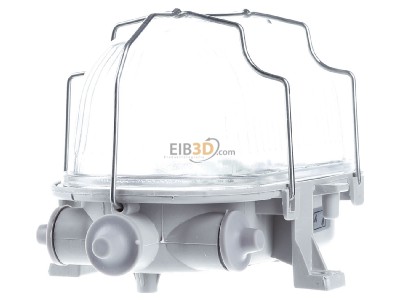 Back view PROTEC.class PLEDOVG 8W LED wall / ceiling light LB23 
