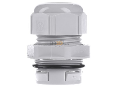 Front view Lapp CLICK M32 R7035 LGY Cable gland / core connector 
