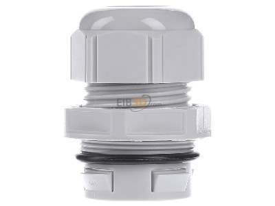 View on the left Lapp CLICK M32 R7035 LGY Cable gland / core connector 
