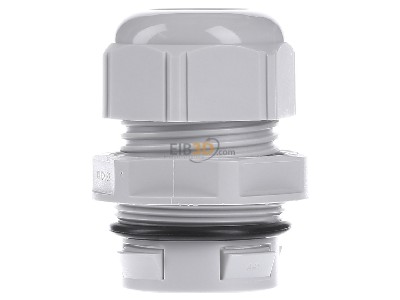 Back view Lapp CLICK M32 R7035 LGY Cable gland / core connector 
