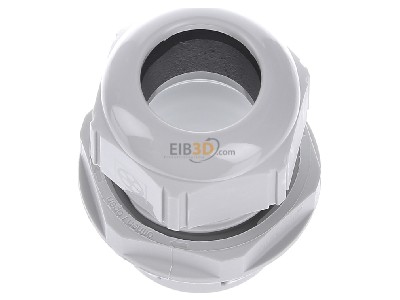Ansicht oben vorne Lapp CLICK M32 R7035 LGY Kabelverschraubung SKINTOP 
