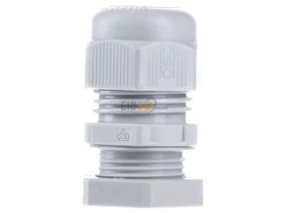 Ansicht hinten OBO V-TEC VM20+ LGR Verschraubung mit Gegenmutter 