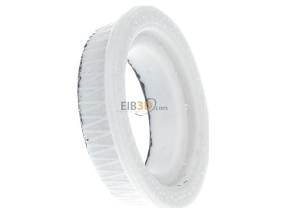 View on the left Hager LE33RP35 D-system screw adapter DIII 35A 
