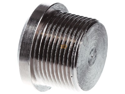 View on the right Stahl 253040 Plug for cable screw gland M25 
