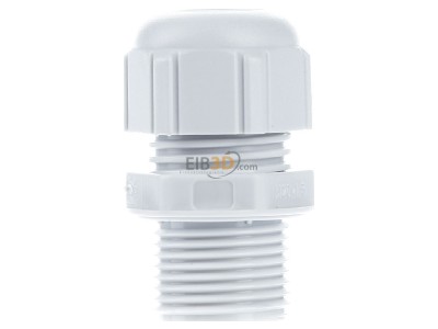 View on the left Spelsberg KVR M20 LG Cable gland / core connector M20 
