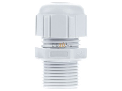 View on the right Spelsberg KVR M20 LG Cable gland / core connector M20 
