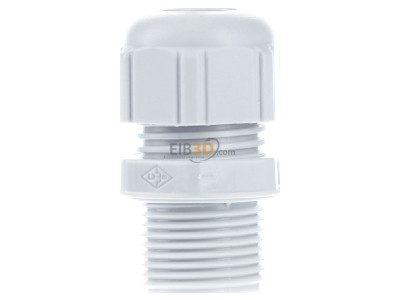 Back view Spelsberg KVR M20 LG Cable gland / core connector M20 
