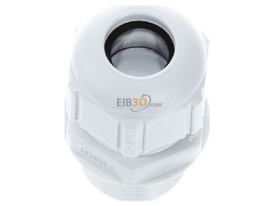 View up front Spelsberg KVR M20 LG Cable gland / core connector M20 
