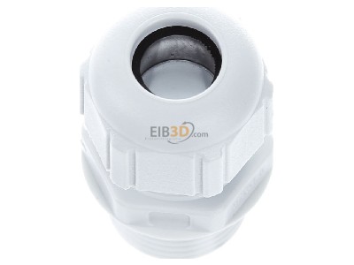 View top left Spelsberg KVR M20 LG Cable gland / core connector M20 
