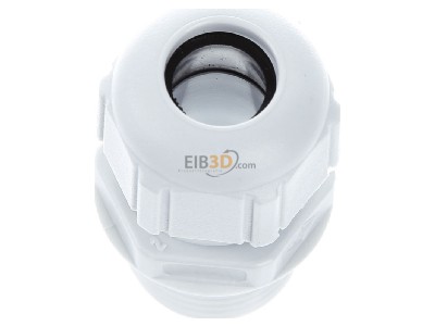 View top right Spelsberg KVR M20 LG Cable gland / core connector M20 
