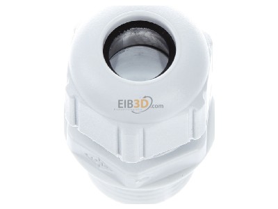 Top rear view Spelsberg KVR M20 LG Cable gland / core connector M20 
