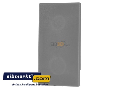 Frontansicht Kleinhuis EG60110.1 Endstck gr 60x110 RAL7030 