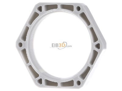 Ansicht hinten OBO 116 M40 LGR PS Gegenmutter Iso 