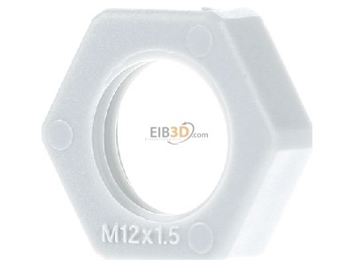 Front view OBO 116 M12 LGR PA Locknut for cable screw gland M12 
