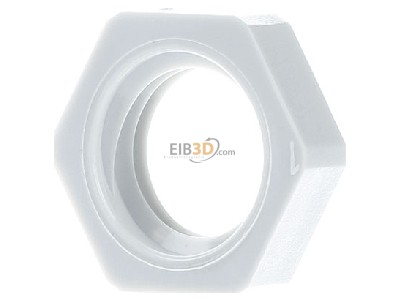 Ansicht hinten OBO 116 M12 LGR PA Gegenmutter Iso 