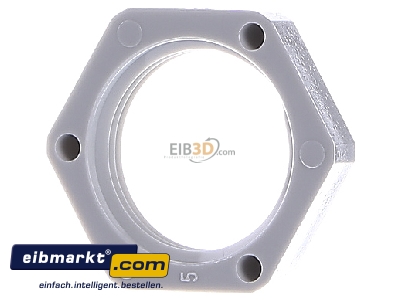 Ansicht hinten OBO Bettermann 116 M20 LGR PA Gegenmutter Iso 