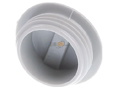 Back view OBO 108 M20 PS Plug for cable screw gland M20 
