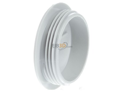 View on the right OBO 108 M32 PS Plug for cable screw gland M32 
