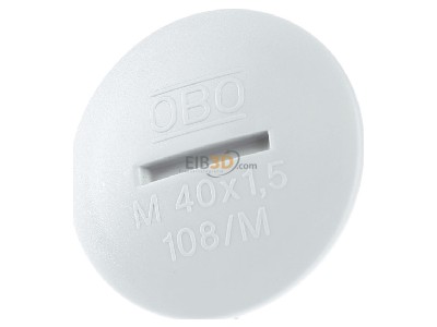 Frontansicht OBO 108 M40 PS Verschluschraube Iso,lgr 