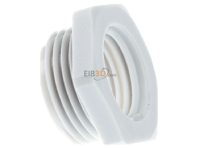 View on the left OBO 107 R M20-16 PA Adapter ring M16 / M20 plastic 
