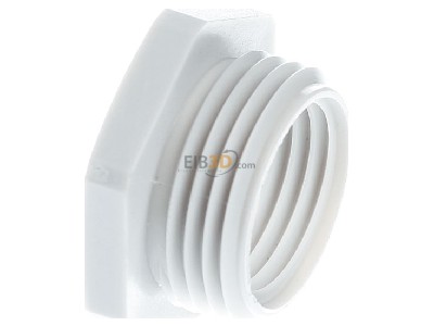 View on the right OBO 107 R M20-16 PA Adapter ring M16 / M20 plastic 
