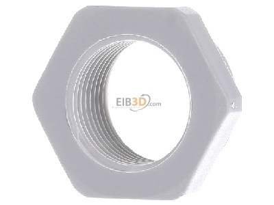 Front view OBO 107 R M25-20 PA Adapter ring M20 / M25 plastic 
