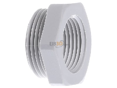 View on the left OBO 107 R M25-20 PA Adapter ring M20 / M25 plastic 
