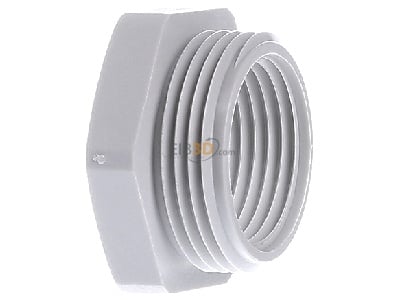 View on the right OBO 107 R M25-20 PA Adapter ring M20 / M25 plastic 
