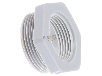 View on the left OBO 107 R M32-25 PA Adapter ring M25 / M32 plastic 
