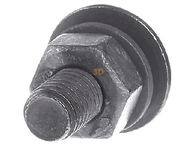 Back view OBO FRS 10X25 F 8.8 Carriage bolt M10x25mm 

