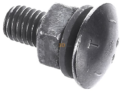 View top left OBO FRS 10X25 F 8.8 Carriage bolt M10x25mm 
