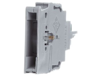 Back view Phoenix P-CO Component plug terminal block 
